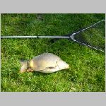 Popelov 17.9.2008 -47.jpg